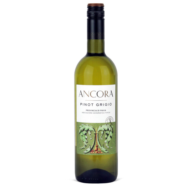 ancora pinot grigio italian white wine